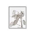 Picture of Sprout & Jar _GroupedProduct_Rectangle_Portrait_Photography _GroupedProduct_Rectangle_Portrait_Canvas_Framed_