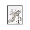 Picture of Sprout & Jar _GroupedProduct_Rectangle_Portrait_Photography _GroupedProduct_Rectangle_Portrait_Canvas_Framed_