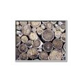 Picture of Stacked Logs _GroupedProduct_Rectangle_Landscape_Photography _GroupedProduct_Rectangle_Landscape_Canvas_Framed_