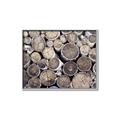 Picture of Stacked Logs _GroupedProduct_Rectangle_Landscape_Photography _GroupedProduct_Rectangle_Landscape_Canvas_Framed_