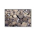 Picture of Stacked Logs _GroupedProduct_Rectangle_Landscape_Photography _GroupedProduct_Rectangle_Landscape_Canvas_Framed_