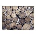 Picture of Stacked Logs _GroupedProduct_Rectangle_Landscape_Photography _GroupedProduct_Rectangle_Landscape_Canvas_Framed_