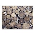 Picture of Stacked Logs _GroupedProduct_Rectangle_Landscape_Photography _GroupedProduct_Rectangle_Landscape_Canvas_Framed_