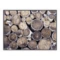 Picture of Stacked Logs _GroupedProduct_Rectangle_Landscape_Photography _GroupedProduct_Rectangle_Landscape_Canvas_Framed_