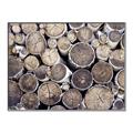 Picture of Stacked Logs _GroupedProduct_Rectangle_Landscape_Photography _GroupedProduct_Rectangle_Landscape_Canvas_Framed_