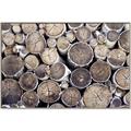 Picture of Stacked Logs _GroupedProduct_Rectangle_Landscape_Photography _GroupedProduct_Rectangle_Landscape_Canvas_Framed_