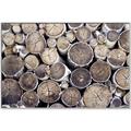 Picture of Stacked Logs _GroupedProduct_Rectangle_Landscape_Photography _GroupedProduct_Rectangle_Landscape_Canvas_Framed_