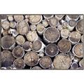 Picture of Stacked Logs _GroupedProduct_Rectangle_Landscape_Photography _GroupedProduct_Rectangle_Landscape_Canvas_Framed_