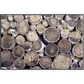 Picture of Stacked Logs _GroupedProduct_Rectangle_Landscape_Photography _GroupedProduct_Rectangle_Landscape_Canvas_Framed_