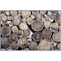 Picture of Stacked Logs _GroupedProduct_Rectangle_Landscape_Photography _GroupedProduct_Rectangle_Landscape_Canvas_Framed_