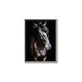 Picture of Stallion _GroupedProduct_Rectangle_Portrait_Photography _GroupedProduct_Rectangle_Portrait_Canvas_Framed_