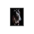 Picture of Stallion _GroupedProduct_Rectangle_Portrait_Photography _GroupedProduct_Rectangle_Portrait_Canvas_Framed_
