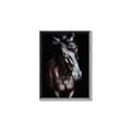 Picture of Stallion _GroupedProduct_Rectangle_Portrait_Photography _GroupedProduct_Rectangle_Portrait_Canvas_Framed_