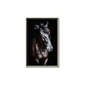 Picture of Stallion _GroupedProduct_Rectangle_Portrait_Photography _GroupedProduct_Rectangle_Portrait_Canvas_Framed_