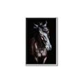 Picture of Stallion _GroupedProduct_Rectangle_Portrait_Photography _GroupedProduct_Rectangle_Portrait_Canvas_Framed_