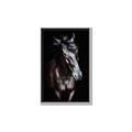 Picture of Stallion _GroupedProduct_Rectangle_Portrait_Photography _GroupedProduct_Rectangle_Portrait_Canvas_Framed_
