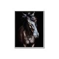 Picture of Stallion _GroupedProduct_Rectangle_Portrait_Photography _GroupedProduct_Rectangle_Portrait_Canvas_Framed_