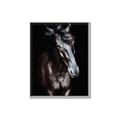 Picture of Stallion _GroupedProduct_Rectangle_Portrait_Photography _GroupedProduct_Rectangle_Portrait_Canvas_Framed_