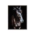 Picture of Stallion _GroupedProduct_Rectangle_Portrait_Photography _GroupedProduct_Rectangle_Portrait_Canvas_Framed_