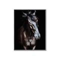 Picture of Stallion _GroupedProduct_Rectangle_Portrait_Photography _GroupedProduct_Rectangle_Portrait_Canvas_Framed_
