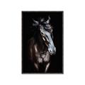 Picture of Stallion _GroupedProduct_Rectangle_Portrait_Photography _GroupedProduct_Rectangle_Portrait_Canvas_Framed_