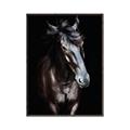 Picture of Stallion _GroupedProduct_Rectangle_Portrait_Photography _GroupedProduct_Rectangle_Portrait_Canvas_Framed_