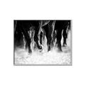Picture of Stampede _GroupedProduct_Rectangle_Landscape_Photography _GroupedProduct_Rectangle_Landscape_Canvas_Framed_
