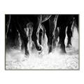 Picture of Stampede _GroupedProduct_Rectangle_Landscape_Photography _GroupedProduct_Rectangle_Landscape_Canvas_Framed_