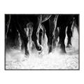 Picture of Stampede _GroupedProduct_Rectangle_Landscape_Photography _GroupedProduct_Rectangle_Landscape_Canvas_Framed_