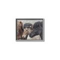 Picture of Untamed Beauties   _GroupedProduct_Rectangle_Landscape_Photography _GroupedProduct_Rectangle_Landscape_Canvas_Framed_