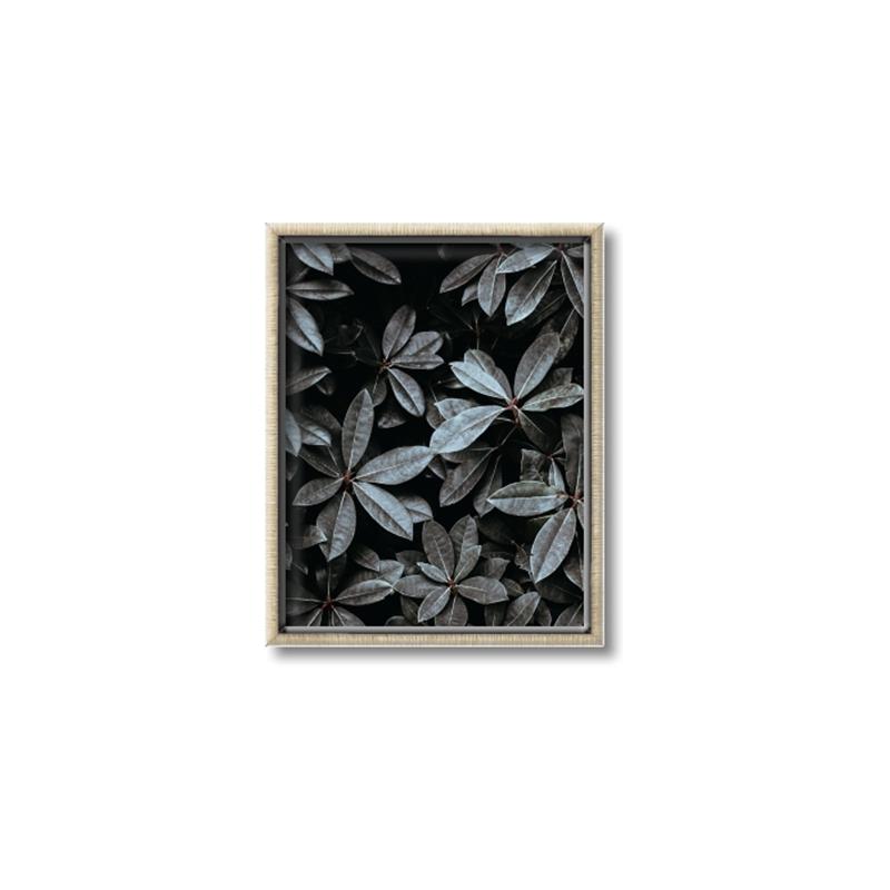 Picture of Intensely Green I _GroupedProduct_Rectangle_Portrait_Photography _GroupedProduct_Rectangle_Portrait_Canvas_Framed_