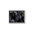 Picture of Intensely Green II _GroupedProduct_Rectangle_Landscape_Canvas_Framed_