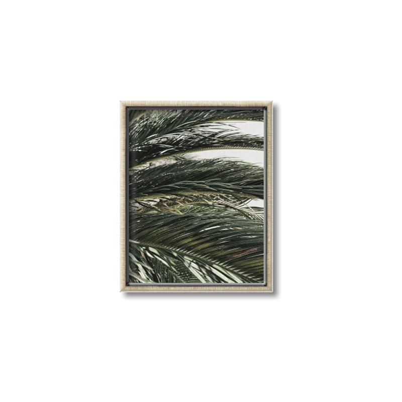 Picture of Sun & Palms  _GroupedProduct_Rectangle_Portrait_Photography _GroupedProduct_Rectangle_Portrait_Canvas_Framed_