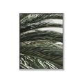Picture of Sun & Palms  _GroupedProduct_Rectangle_Portrait_Photography _GroupedProduct_Rectangle_Portrait_Canvas_Framed_