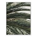 Picture of Sun & Palms  _GroupedProduct_Rectangle_Portrait_Photography _GroupedProduct_Rectangle_Portrait_Canvas_Framed_
