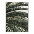Picture of Sun & Palms  _GroupedProduct_Rectangle_Portrait_Photography _GroupedProduct_Rectangle_Portrait_Canvas_Framed_