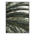 Picture of Sun & Palms  _GroupedProduct_Rectangle_Portrait_Photography _GroupedProduct_Rectangle_Portrait_Canvas_Framed_