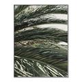 Picture of Sun & Palms  _GroupedProduct_Rectangle_Portrait_Photography _GroupedProduct_Rectangle_Portrait_Canvas_Framed_