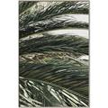 Picture of Sun & Palms  _GroupedProduct_Rectangle_Portrait_Photography _GroupedProduct_Rectangle_Portrait_Canvas_Framed_