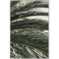 Picture of Sun & Palms  _GroupedProduct_Rectangle_Portrait_Photography _GroupedProduct_Rectangle_Portrait_Canvas_Framed_