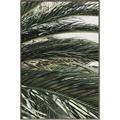 Picture of Sun & Palms  _GroupedProduct_Rectangle_Portrait_Photography _GroupedProduct_Rectangle_Portrait_Canvas_Framed_