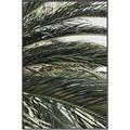 Picture of Sun & Palms  _GroupedProduct_Rectangle_Portrait_Photography _GroupedProduct_Rectangle_Portrait_Canvas_Framed_