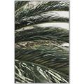 Picture of Sun & Palms  _GroupedProduct_Rectangle_Portrait_Photography _GroupedProduct_Rectangle_Portrait_Canvas_Framed_