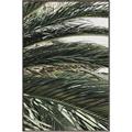 Picture of Sun & Palms  _GroupedProduct_Rectangle_Portrait_Photography _GroupedProduct_Rectangle_Portrait_Canvas_Framed_