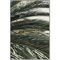 Picture of Sun & Palms  _GroupedProduct_Rectangle_Portrait_Photography _GroupedProduct_Rectangle_Portrait_Canvas_Framed_