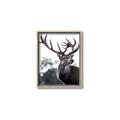Picture of The Winter Deer _GroupedProduct_Rectangle_Portrait_Photography _GroupedProduct_Rectangle_Portrait_Canvas_Framed_