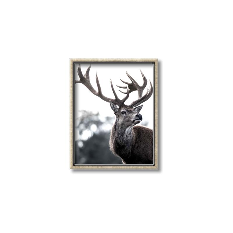 Picture of The Winter Deer _GroupedProduct_Rectangle_Portrait_Photography _GroupedProduct_Rectangle_Portrait_Canvas_Framed_