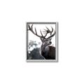 Picture of The Winter Deer _GroupedProduct_Rectangle_Portrait_Photography _GroupedProduct_Rectangle_Portrait_Canvas_Framed_