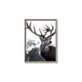 Picture of The Winter Deer _GroupedProduct_Rectangle_Portrait_Photography _GroupedProduct_Rectangle_Portrait_Canvas_Framed_