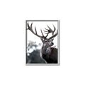 Picture of The Winter Deer _GroupedProduct_Rectangle_Portrait_Photography _GroupedProduct_Rectangle_Portrait_Canvas_Framed_